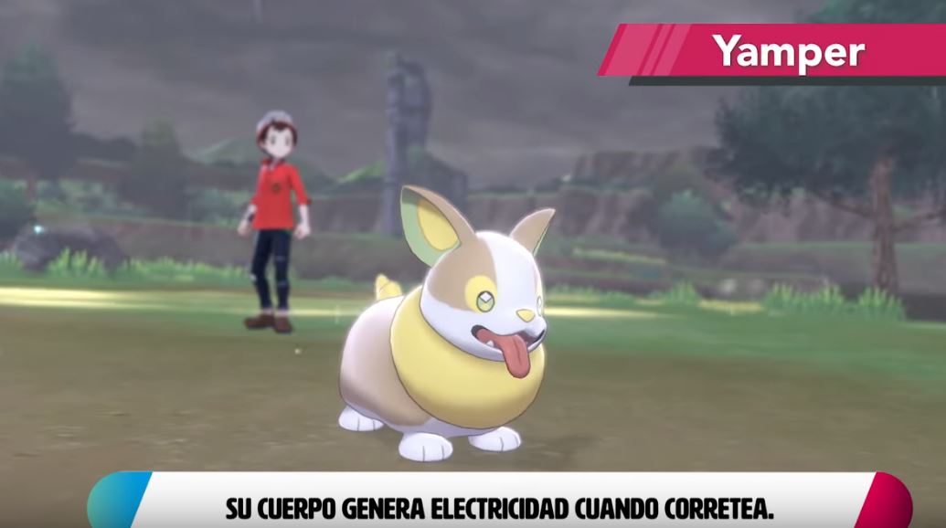 Yamper Pokemon