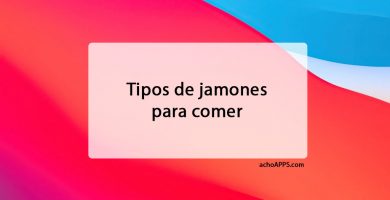 Tipos De Jamones Para Comer