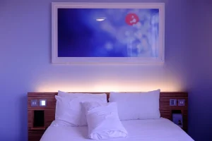 IPTV para hoteles y negocios guía básica